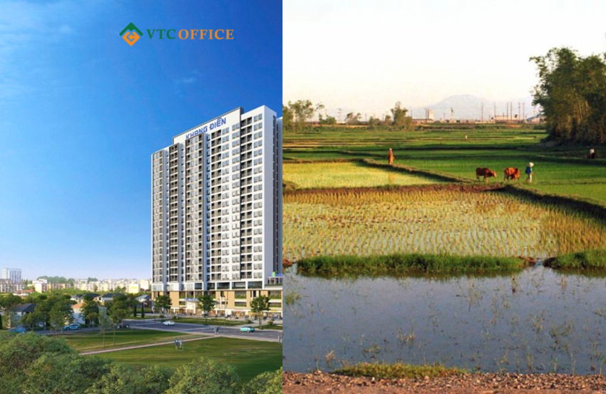 Bỏ phố về quê: Vợ chồng tôi chọn nhà đất 80m2 khang trang thay vì chung cư chật hẹp ở Hà Nội