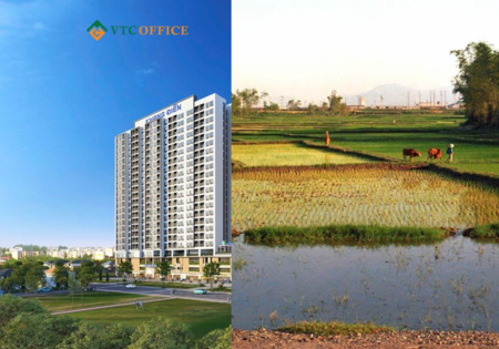 Bỏ phố về quê: Vợ chồng tôi chọn nhà đất 80m2 khang trang thay vì chung cư chật hẹp ở Hà Nội