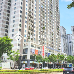 anh-trung-canh-toa-nha-handico_1734057600.png