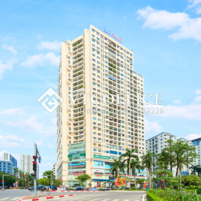 thiet-ke-chua-co-ten-2025-01-08t090300-941_1736302710.png